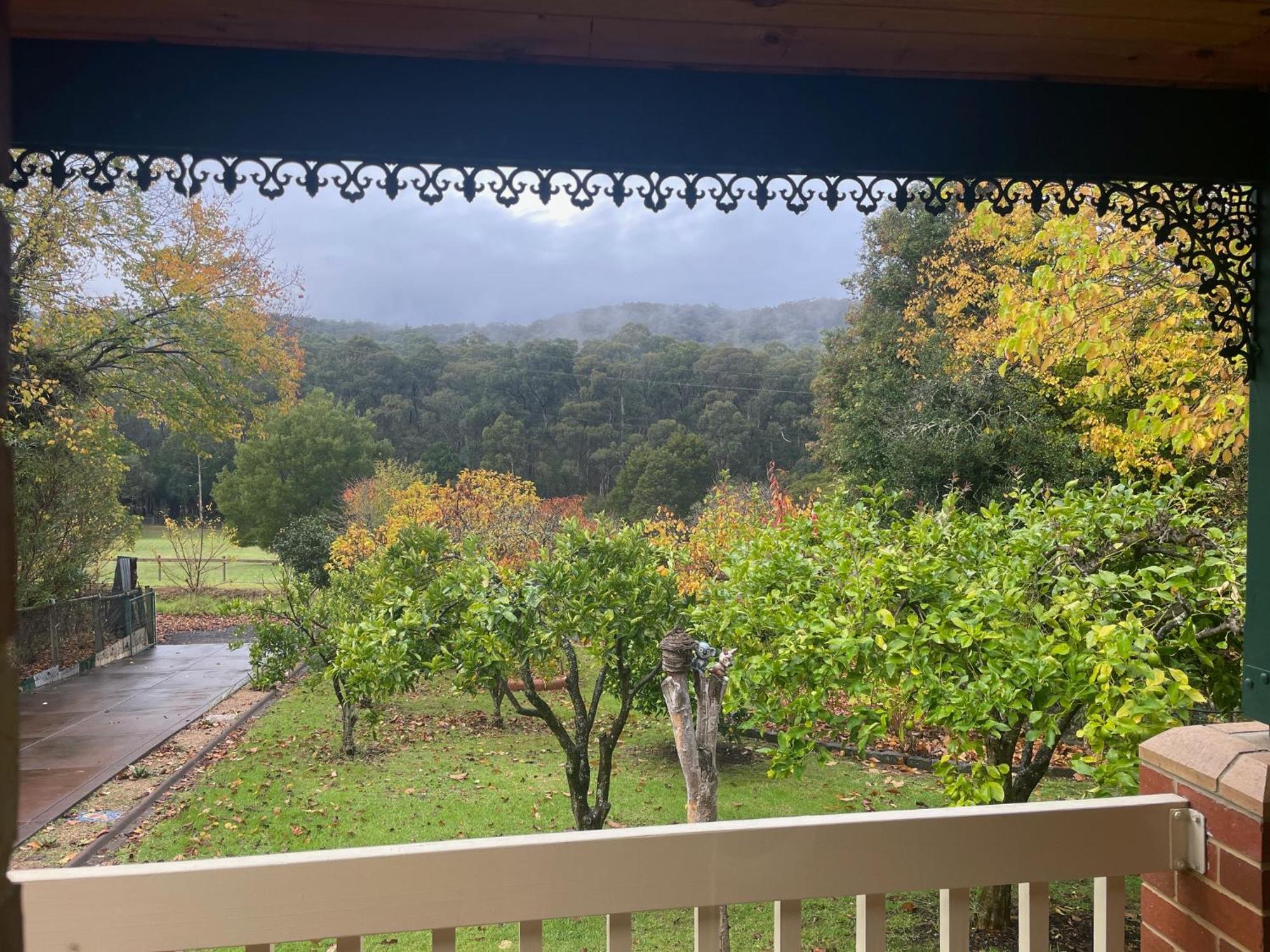 Вілла Noojee Getaway Екстер'єр фото